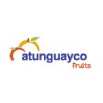 Atunguayco Logo